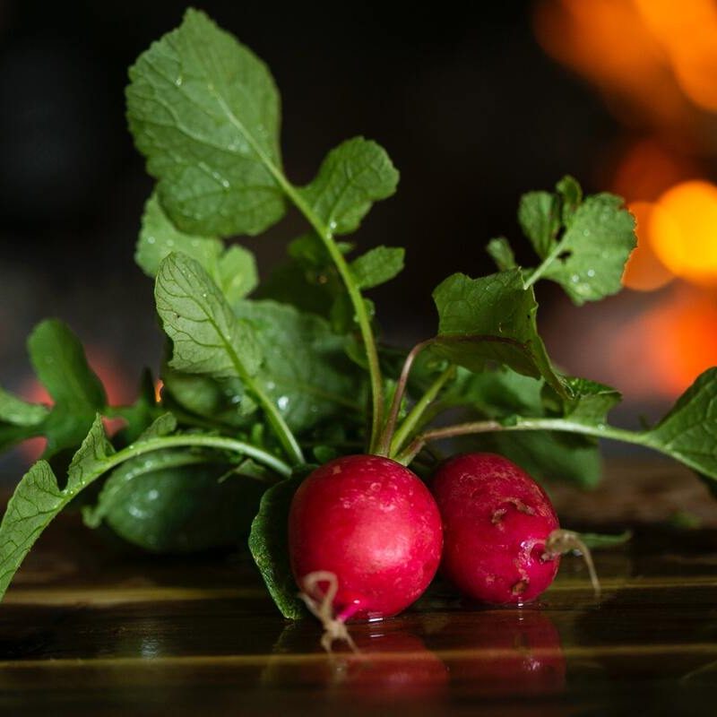 Radishes.
