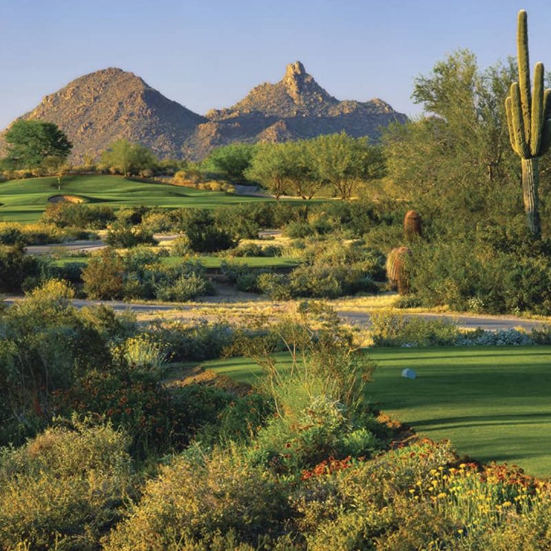 The Four Seasons in Scottsdale