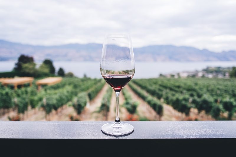 Glass of wine in front of vineyard