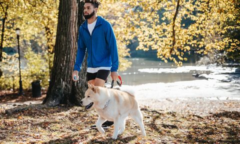 a man walking a dog