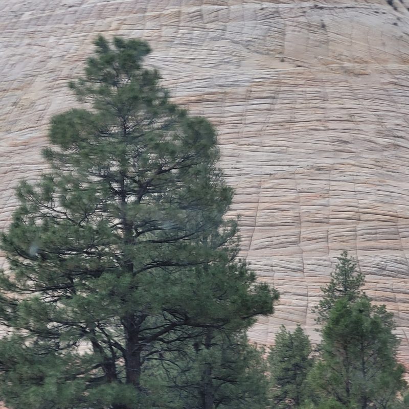 Checkerboard Mesa on the East Rim Trail
