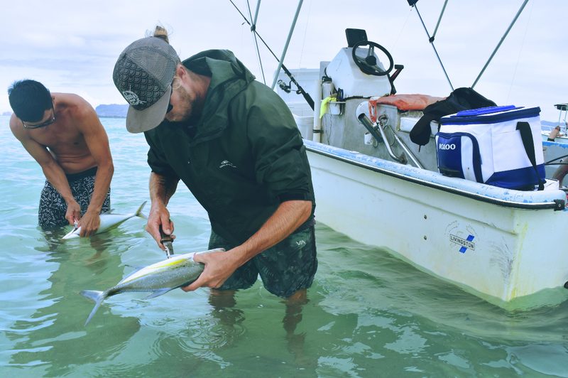 Fisherman gutting fish