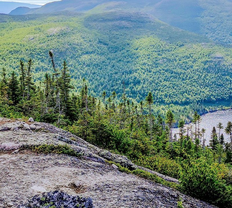 La Sportiva athlete Julien Yamba runs on a rocky trail.