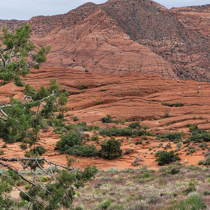 Petrified Dunes at Snow Canyon
