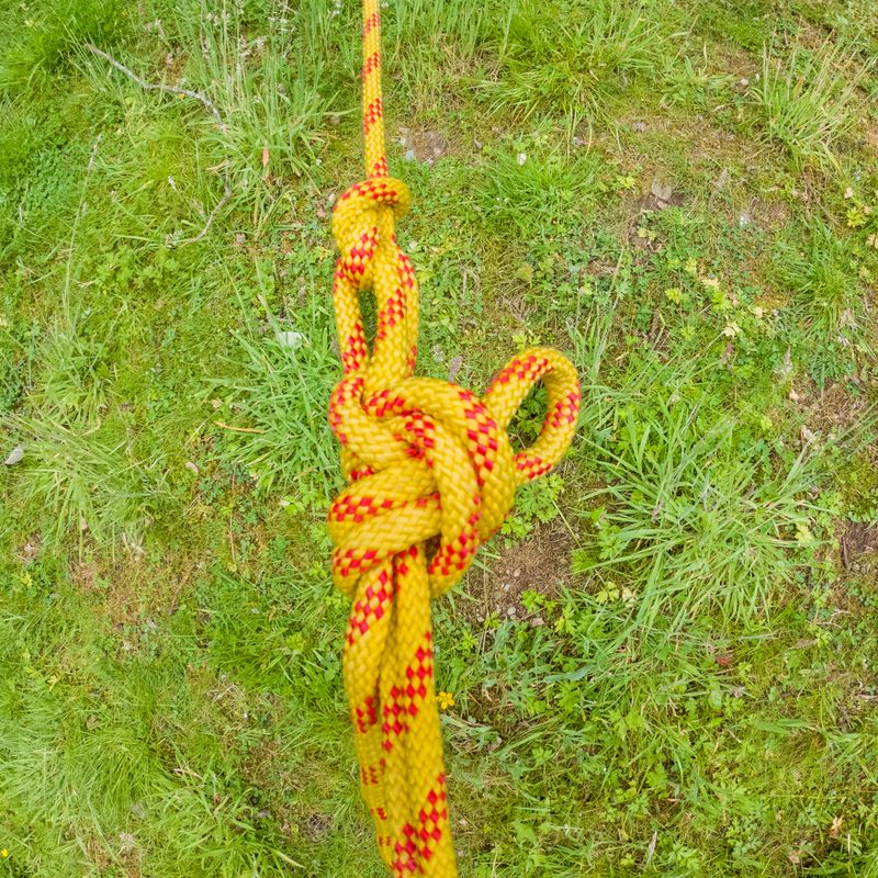 A trucker's hitch tied in yellow rope.