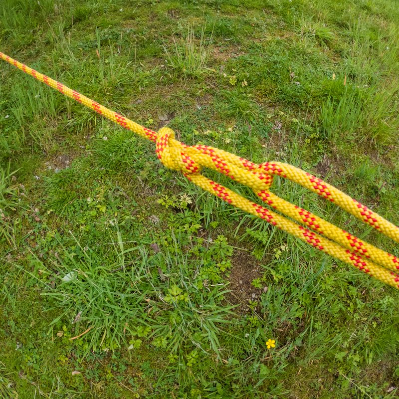 A trucker's hitch tied in yellow rope.