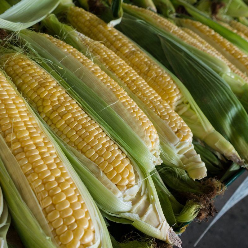 Corn on the cob