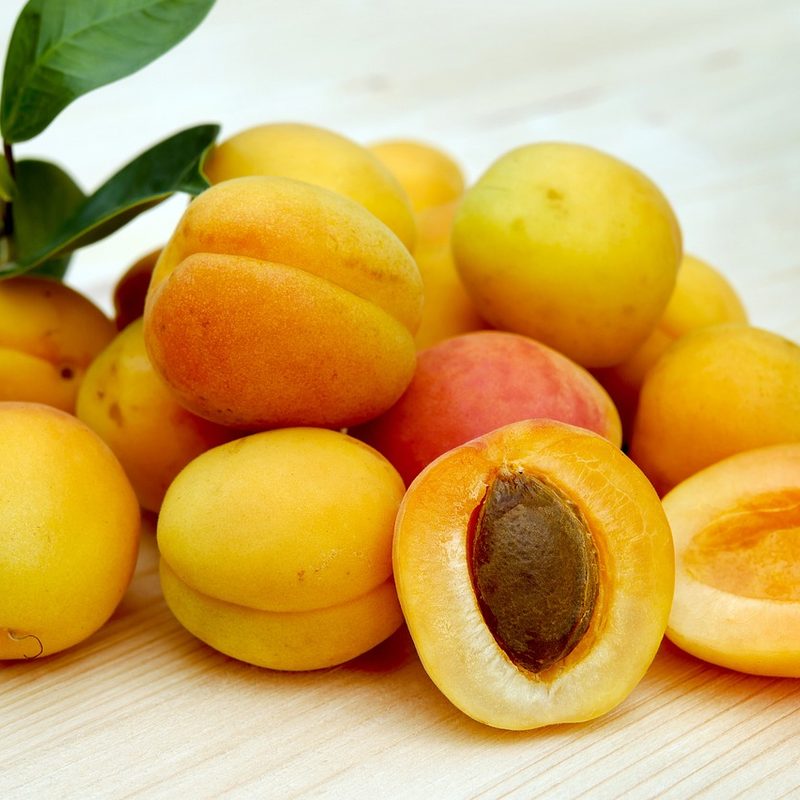 A bunch of apricots