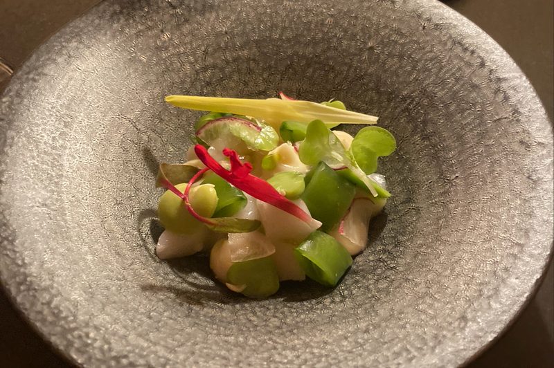 Aquavit scallop crudo