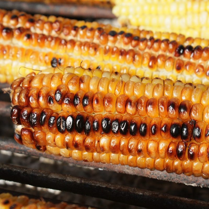 Grilled corn on the cob
