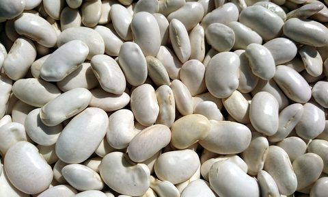 White beans