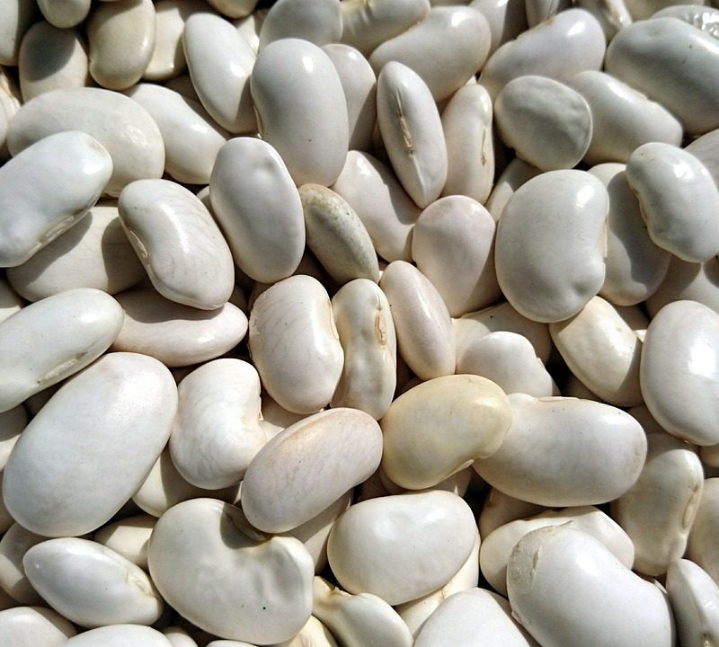 White beans