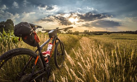 A photo of a mountain bike in a field of wheat as the sun goes down.