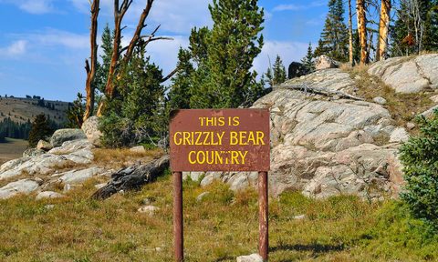 A sign on a trail in front of some rocks, that reads 'This is Grizzly Bear Country'