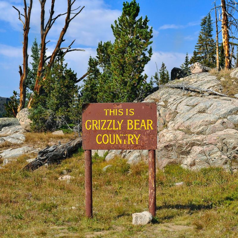 A sign on a trail in front of some rocks, that reads 'This is Grizzly Bear Country'