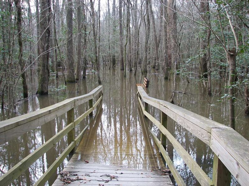 A flooded boardwalk with a bench visible