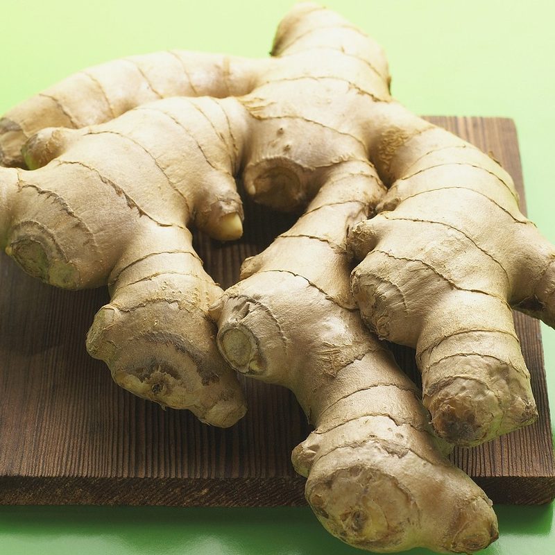 Ginger close up.