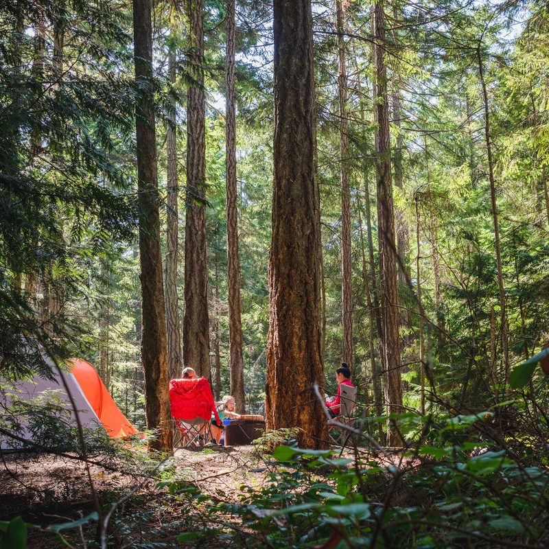 A family camp set up in the woods in the sunshine.