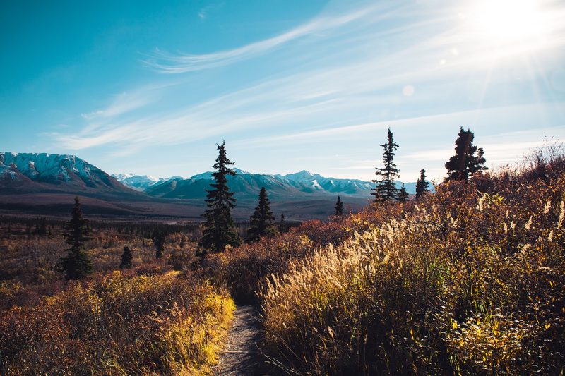 Beautiful remote Alaskan landscape with Denali in the background.