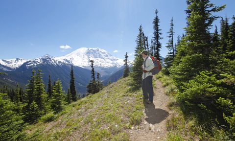 Man hiking in Mt. Rainier Seattle