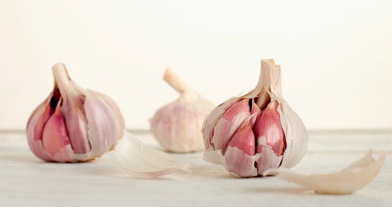 Half peeled garlic bulbs