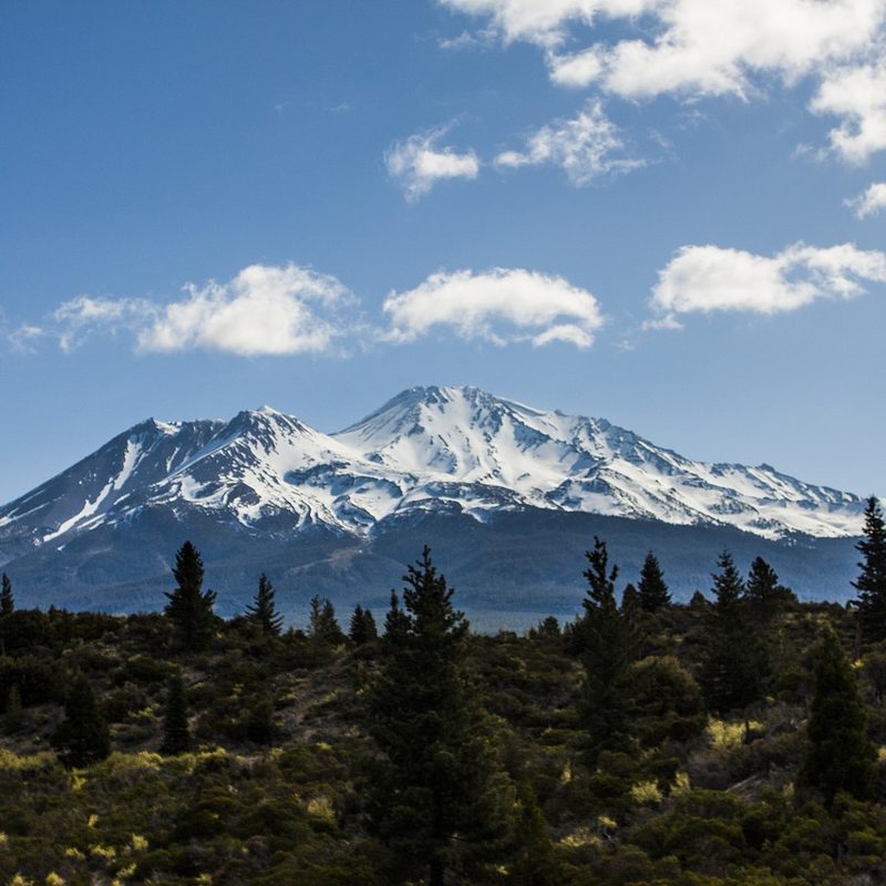 Mt. Shasta panorama.