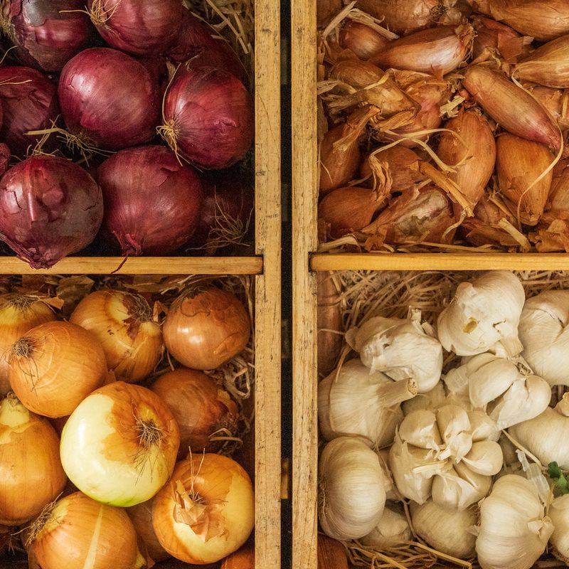 Onions and garlic