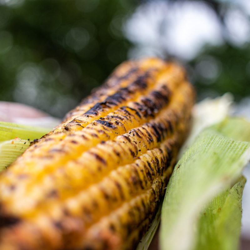 Grilled corn on the cob