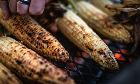 Grilled corn on the cob
