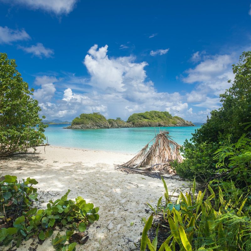 Looking through the tropical green trees of Trunk Bay on St. John in the U.S. Virgin Islands.