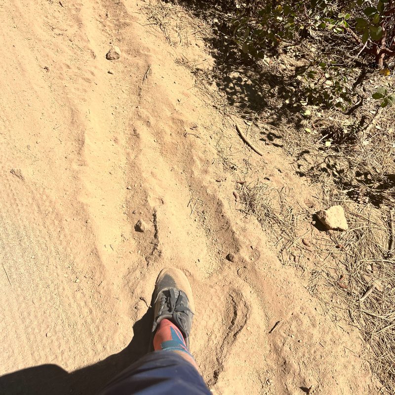 Dirt being eroded from the side of a mountain bike trail