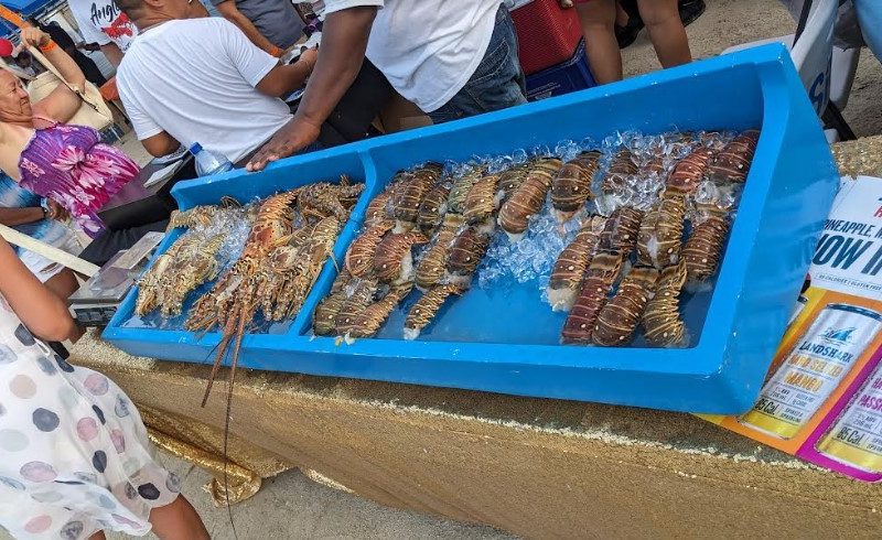 Belize Lobster Fest