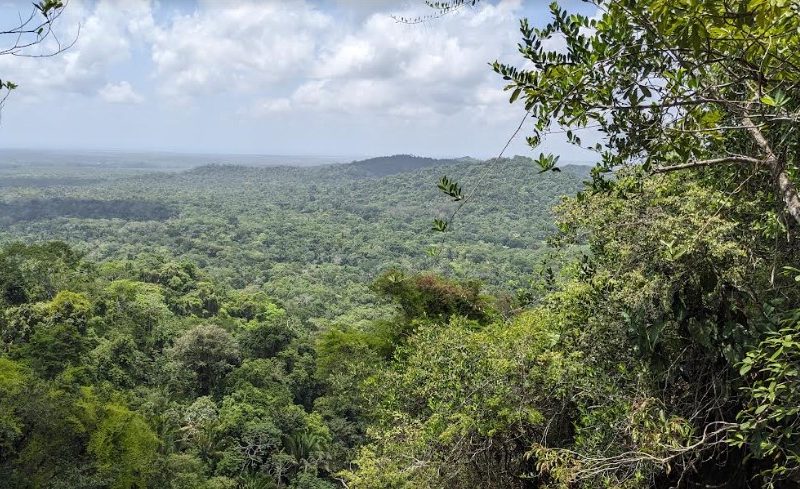 Belize mountain view