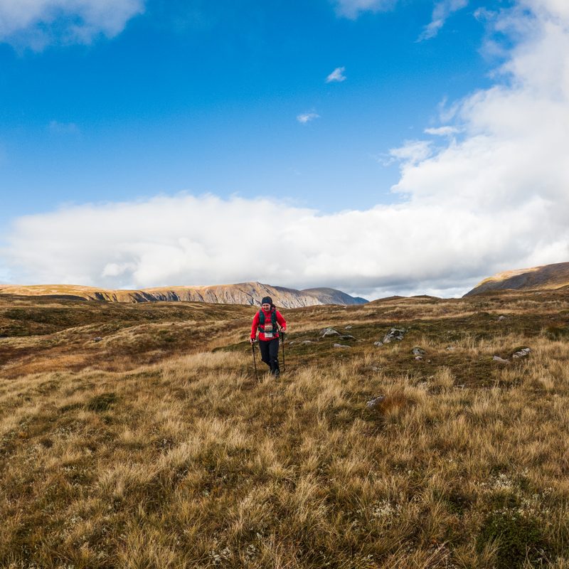A person runs through the mountains with hiking poles.