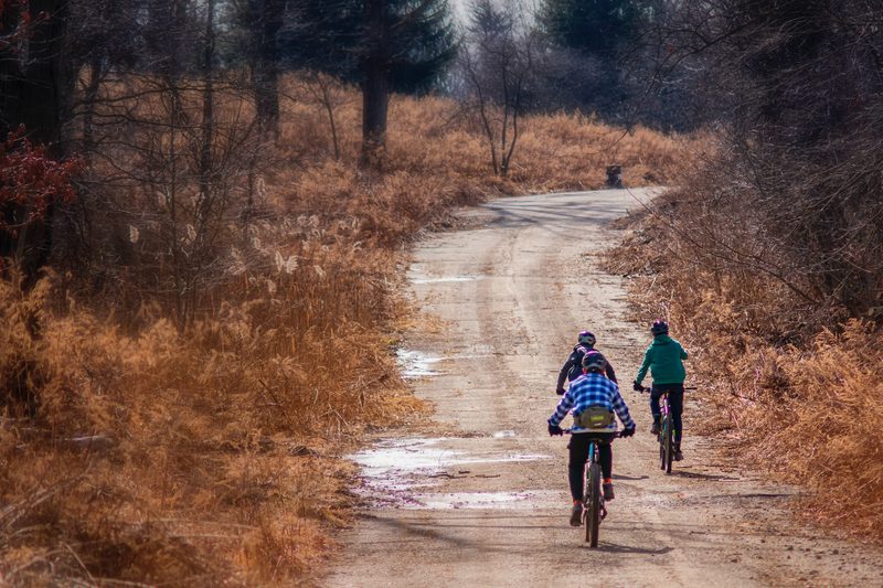 People on bikes ride away from the camera on a dirt road