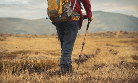A man stands in a field wearing backpack and using Black diamond walking poles.