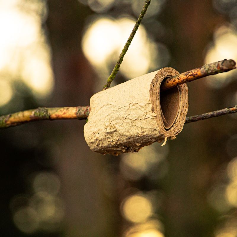 Small roll of natural toilet paper hanging on a branch in the woods.