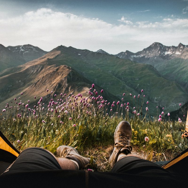 Person lying in a tent looking outside toward mountains and a field of flowers.
