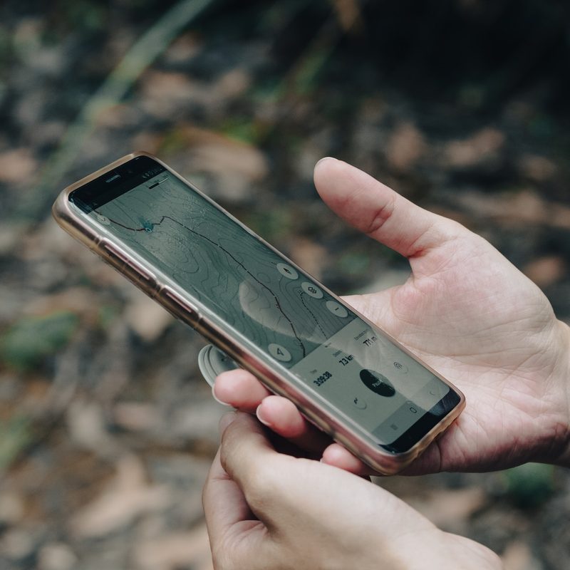 A walker uses AllTrails on their phone