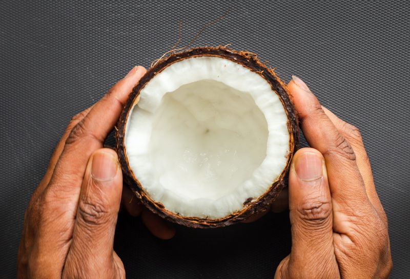 Hands holding coconut