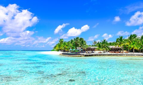 An idyllic Caribbean beach resort with crystal-clear water and a blue daytime sky backdrop