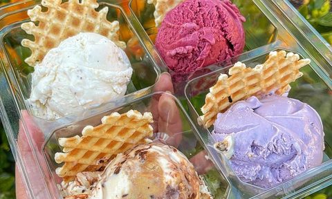 Salt and Straw Ice Cream