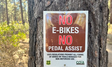A large sign on a tree on the side of a mountain bike trail telling riders that e-bikes are not allowed