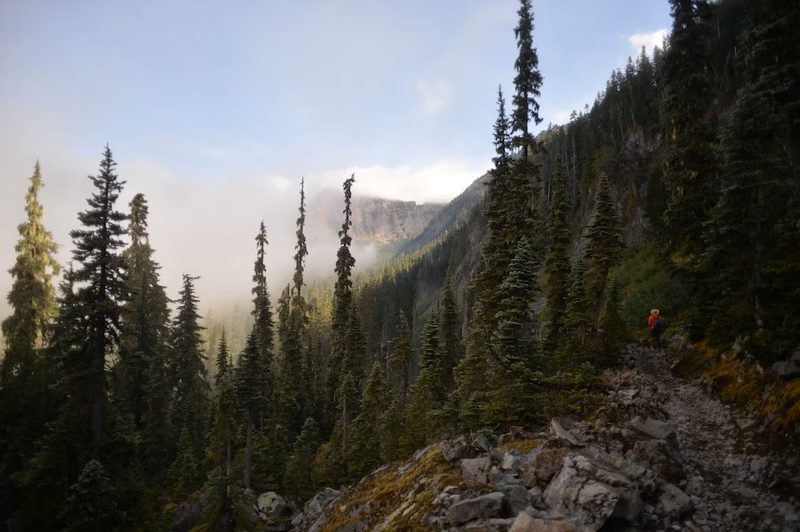 Pacific Coast Trail at Snoqualmie Pass, WA