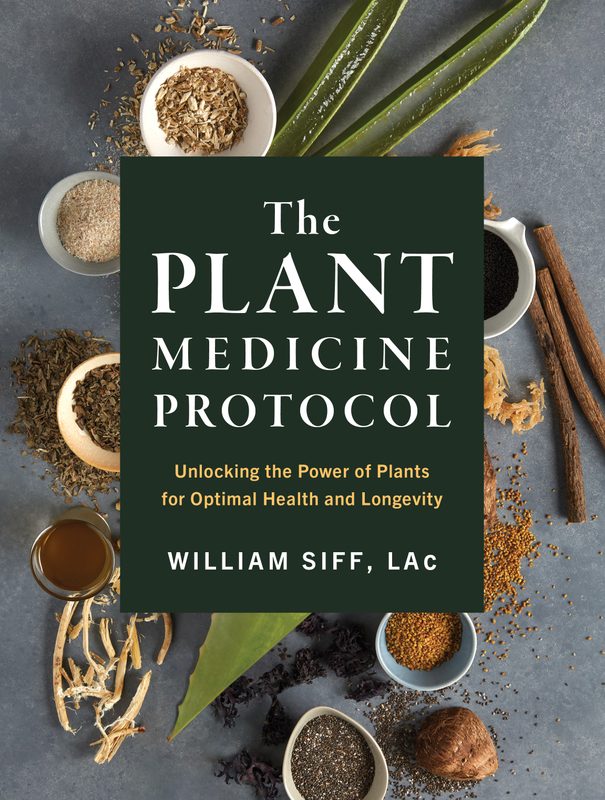 The Plant Medicine Protocol Book Cover