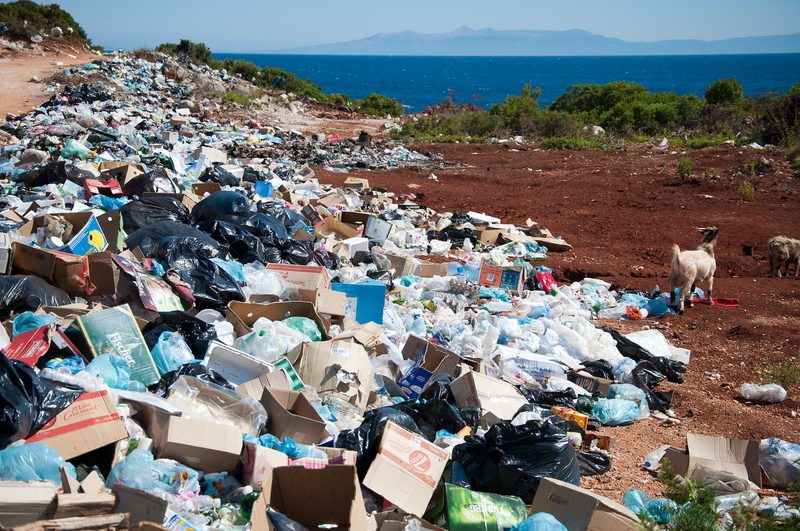 Goats scavenging a large garbage pile near the sea.
