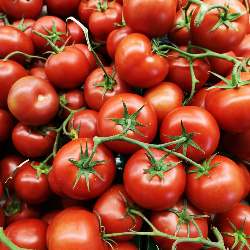 Lots of red tomatoes on the vine