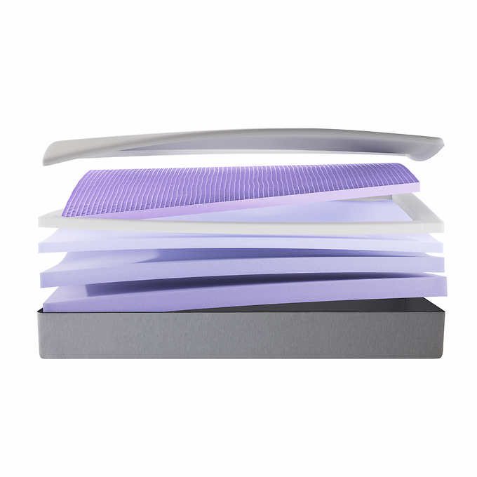 PurpleRenew crosscut image