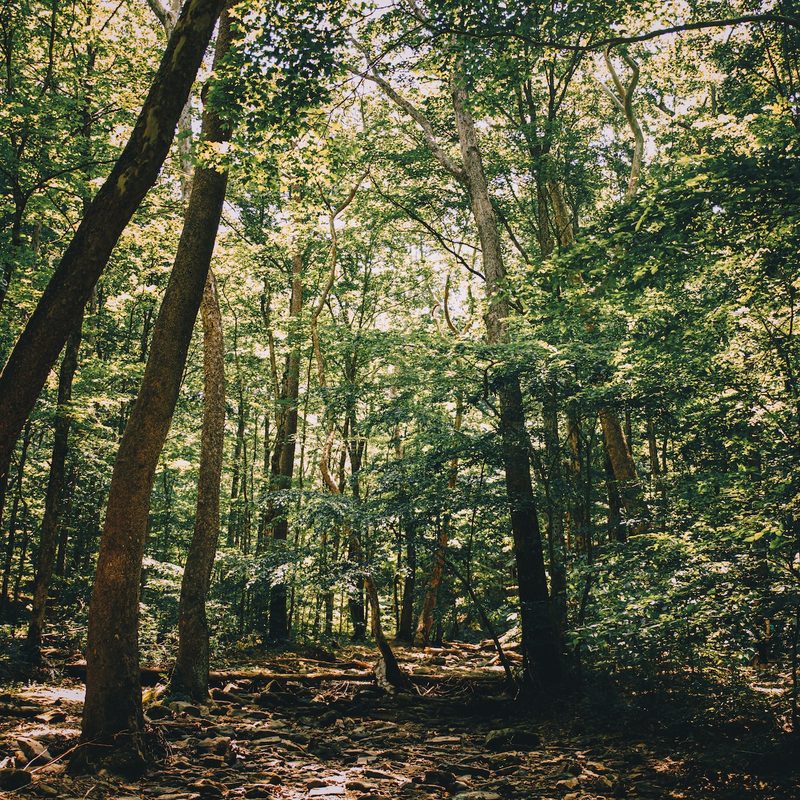 Shawnee National Park