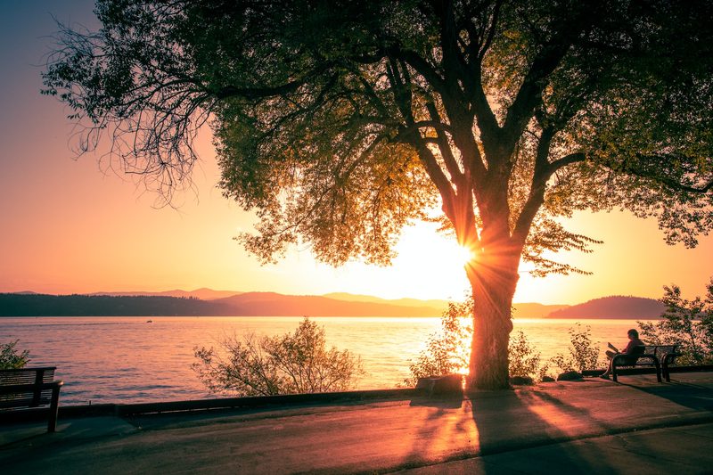 Silhouette of a person reading by the water on a bright sunny day.